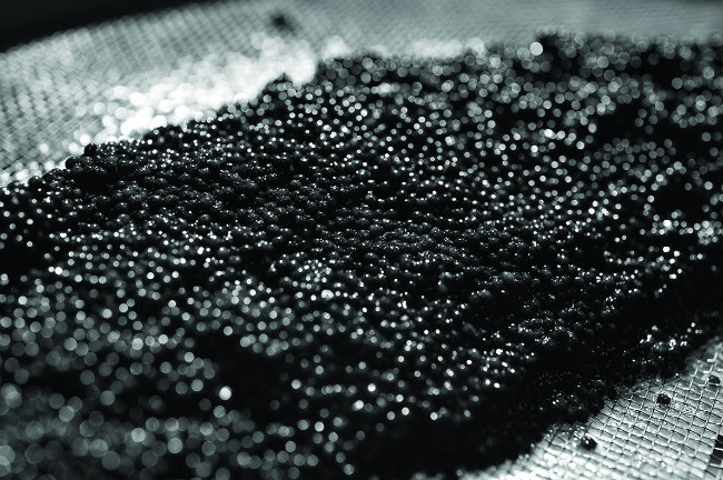 Neuvic caviar