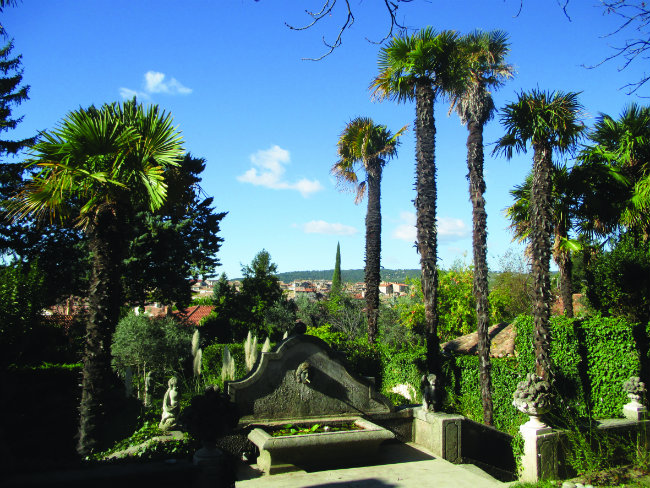 the garden at Le Paraïs. photo: Thirza Vallois