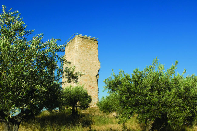 the watch-tower of the Mont d'Or