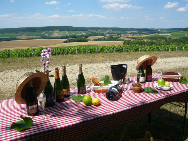 A vineyard feast