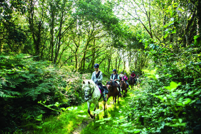 Enjoying one of Brittany's horse-riding trails