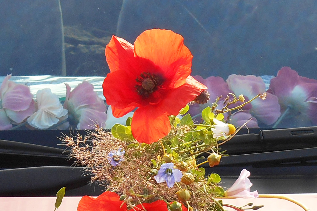 A mobile altar, photo: Nigelle de Visme