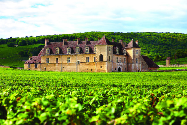 Beautiful Bordeaux vineyards