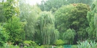 Giverny Monets Garden
