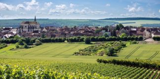 he rolling green landscapes of Coulanges-la-Vineuse in northern Burgundy