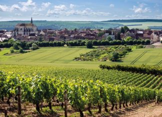 he rolling green landscapes of Coulanges-la-Vineuse in northern Burgundy