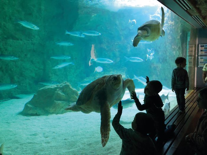 Biarritz Aquarium
