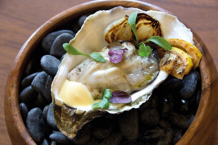 a sumptuous oyster dish