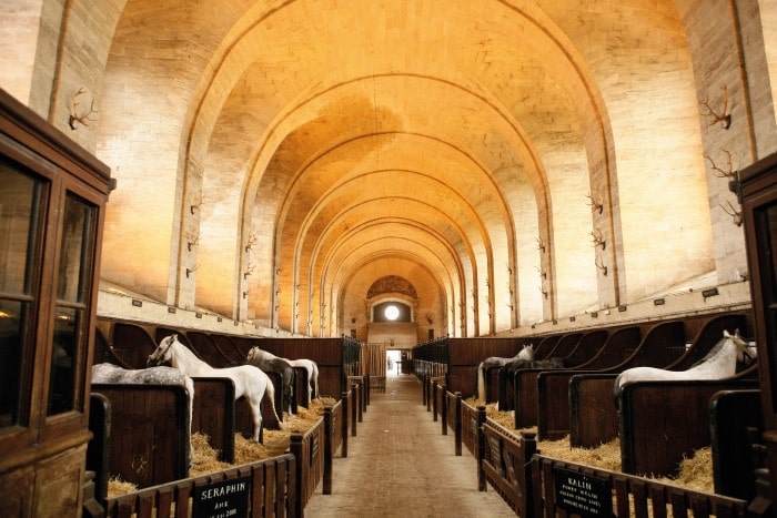 Chantilly is a horse lover’s paradise