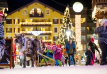 Les rennes du Père Noël (c) Prestige Photos Christmas