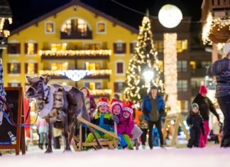 Les rennes du Père Noël (c) Prestige Photos Christmas